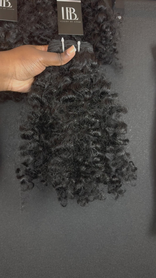 BURMESE CURLS